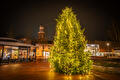 Kerstboom