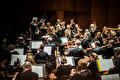 Grootse Zomerafsluiting: Noord Nederlands Orkest